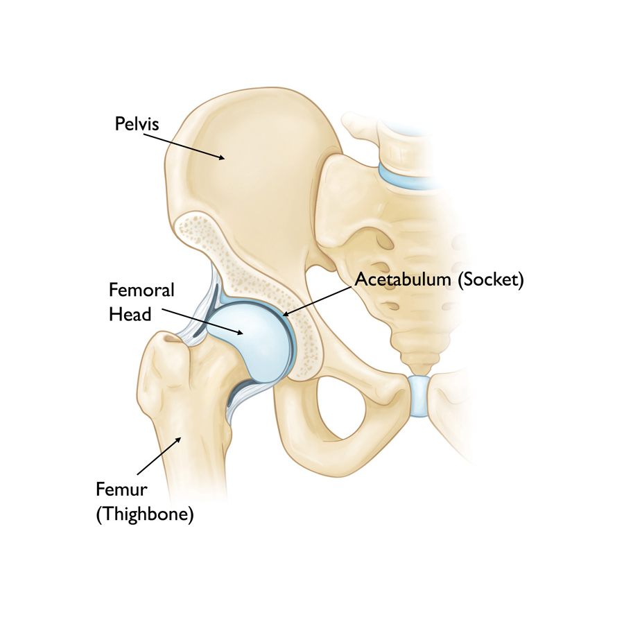 Joint Replacement Surgeries